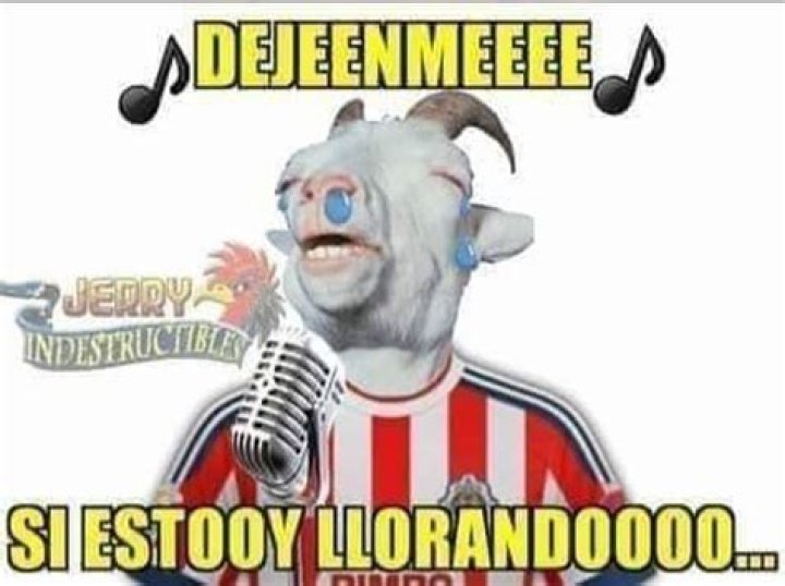 Memes De Las Chivas Llorando